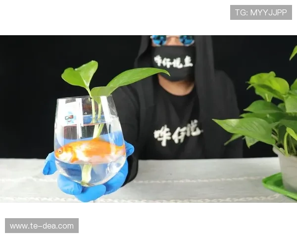 博鱼真人官方入口保障玩家账户信息安全，打造可靠的线上娱乐环境