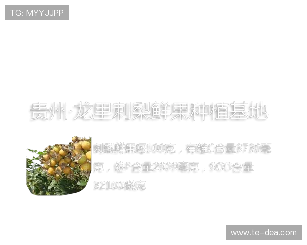AG旗舰厅会员注册优惠活动介绍及参与方式 AG旗舰厅会员注册优惠活动介绍及参与方式